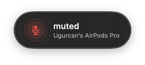 Muted HUD